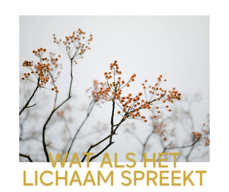 spreekwoorden lichaam